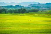 项目地块实景