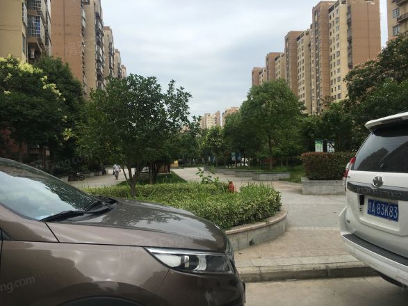 临湖社区