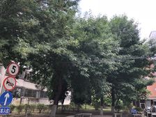 皂君庙·中关村南大街甲8号·4室·2厅