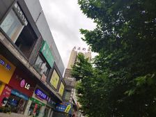 中深高原明珠花园小区3室2厅东西