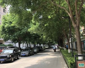 皂君庙·中关村南大街甲8号·4室·2厅