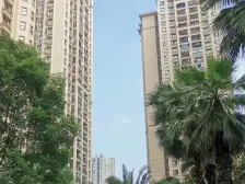 石马河 金科十年城西区三房127万