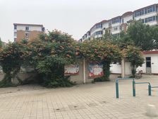 中间楼层拎包入住配套齐全采光充足诚心出售