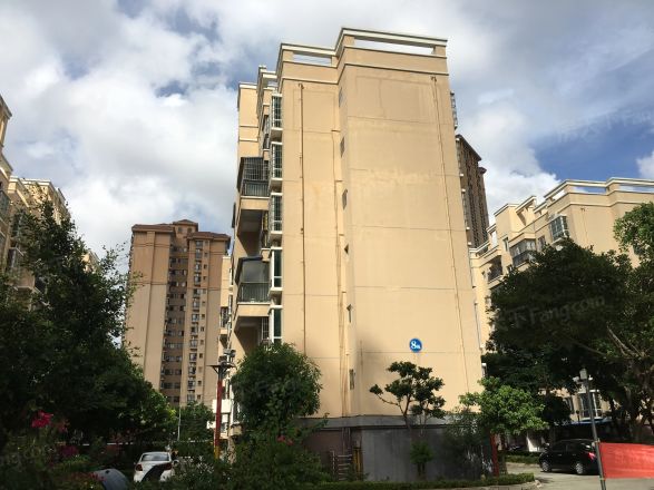 桐洋家园实景图
