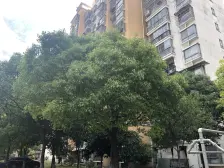 张江·紫晶苑·3室·0厅