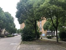 紫晶苑1室1厅南