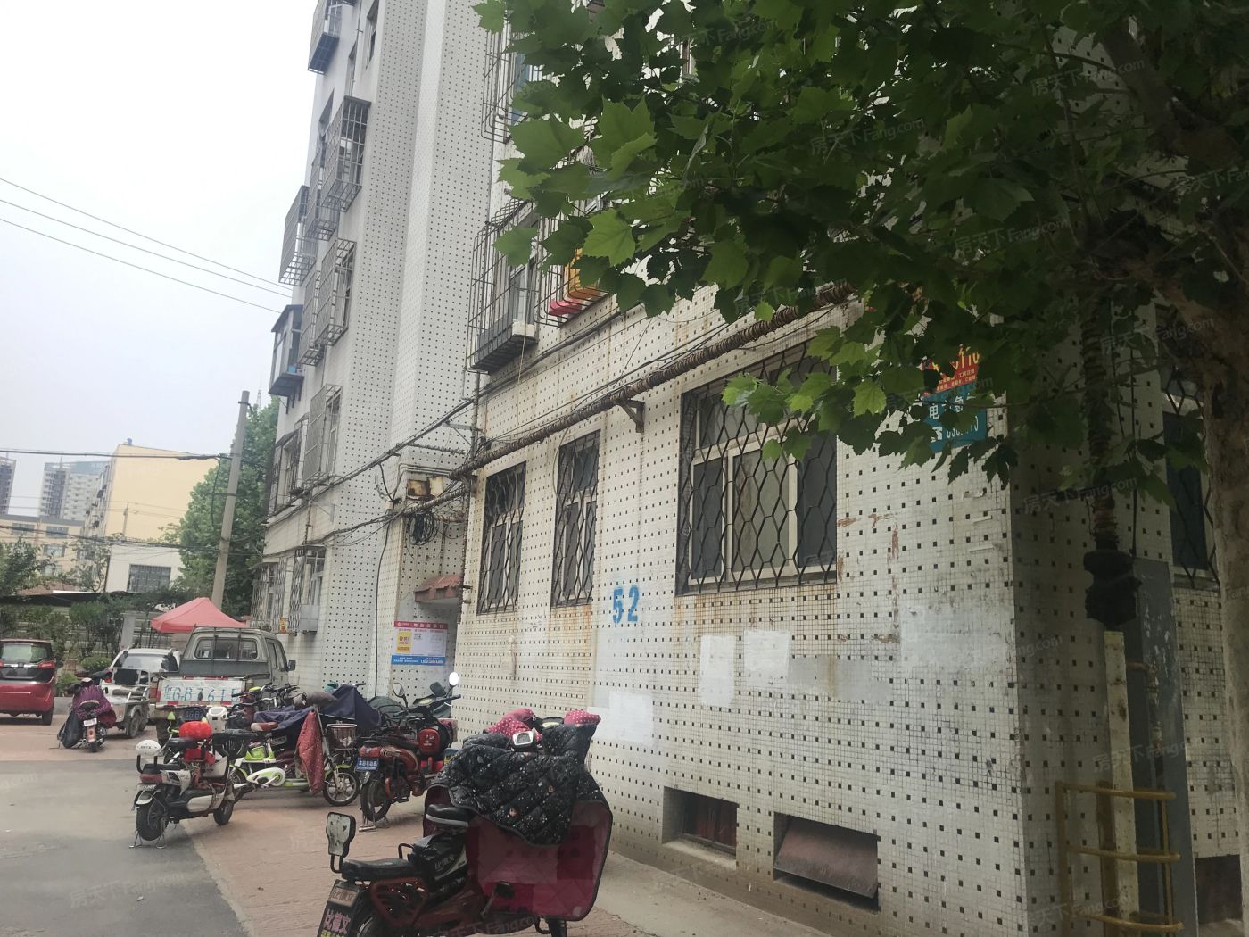 实景图
