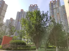 阳光花苑 标间 双气 住宅性质 小户型