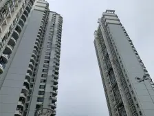 看南湖公园全景 滨湖路小(学)