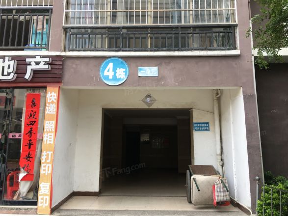 桐洋家园实景图