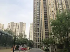 绿地中央广场三区 2室2厅 南 北