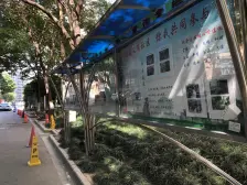 颛桥·鑫都城云天绿洲·4室·3厅