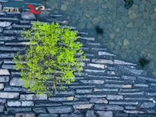 开发商装修,三室两厅两卫,楼层号采光好