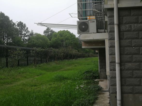 阳光园二期实景图
