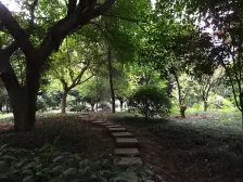 五里店 蓝色经典三房