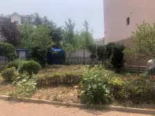 户型方正 南北通透 楼层好 近华南