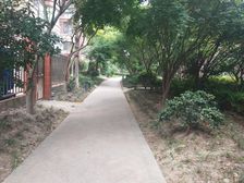 精装修凤凰楼层,可随时看房诚意出售