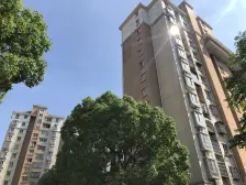 中间楼层大三房,南北户型好采光,河畔垂柳随风扬