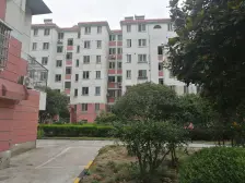 曙光新区 4室2厅 南