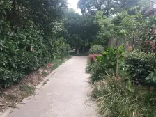 精装修凤凰楼层,可随时看房诚意出售