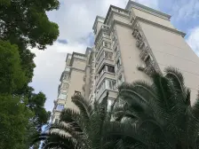 北美枫情2室南朝向1150.00万元/套出售