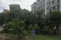 九华南苑实景图