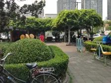 齐八小区 1室1厅 南