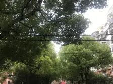 金泽苑+稀有复式+南北通+视野佳+采光好+随时可看+急售