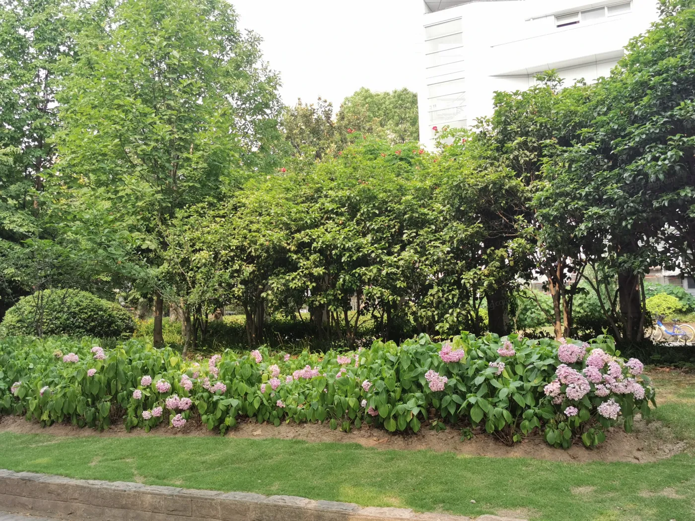 齐一小区实景图