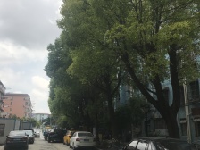 近地铁 采光好,产权清晰 无抵押,新上房源