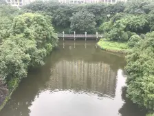 豪华装修 带巴晓初高全标 鲁能精装大四室 1梯2户大平层