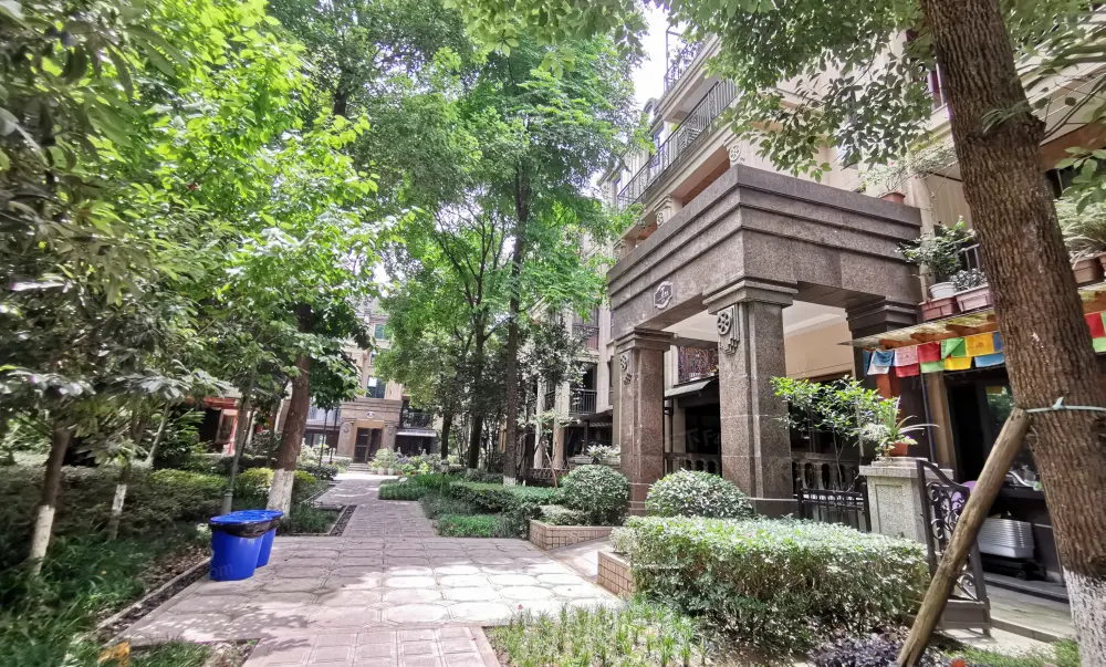 10号线 鹿山轻轨站旁 大顶跃洋房 一梯两户南北通透带大露台,重庆渝北