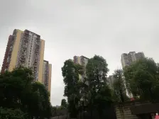 黄泥磅次新小区精装修一室一厅 配套齐全 随时看房