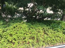 近地铁,现场实勘中间楼层通风好,必看好房