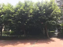 华岩新城 伟岸福缘尚城一房50万