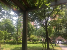 14年次新小区 可看江双南2房 采光佳 配套成熟 看房方便