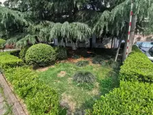 中环内 一梯两户 南北通 精装修拎包入住 来电即看