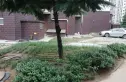 金水湾新华区实景图
