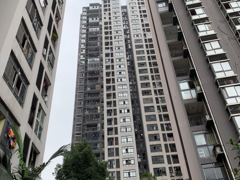 实景图
