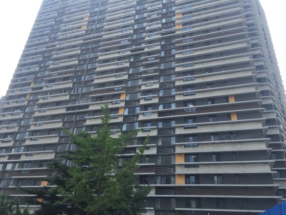 中堂紫熙台公寓实景图