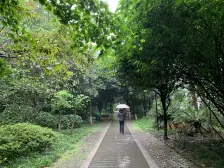 南方苹果派一期 1室1厅 东南