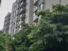 鹏润蓝海C区 2室1厅 西南