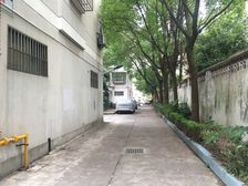 三八新村3室2厅北南