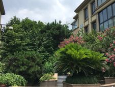 环境优美配套齐全,地铁加持,诚心出售,杭州萧山蜀山半岛花园二手房 两