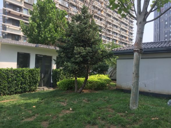 中堂紫熙台公寓实景图