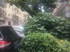 品质小区,繁华地段,刚需好房,装修齐全