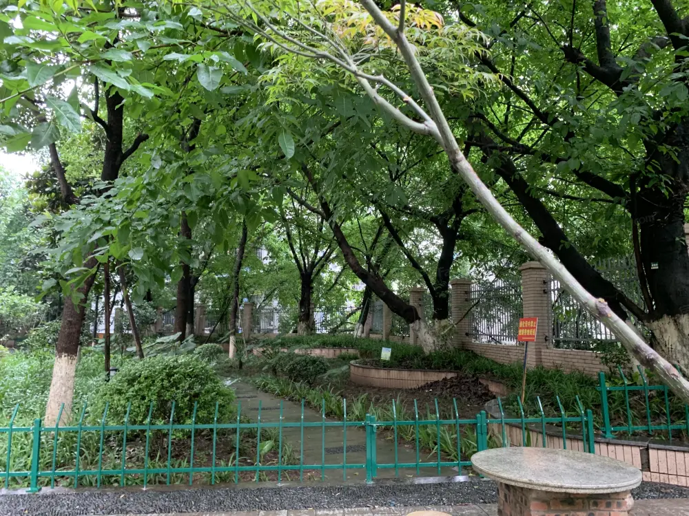 实景图