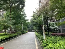 石桥铺 渝景新天地三房90万