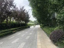 新上金鸡湖畔晋合品质好房 高楼层 诚意出售