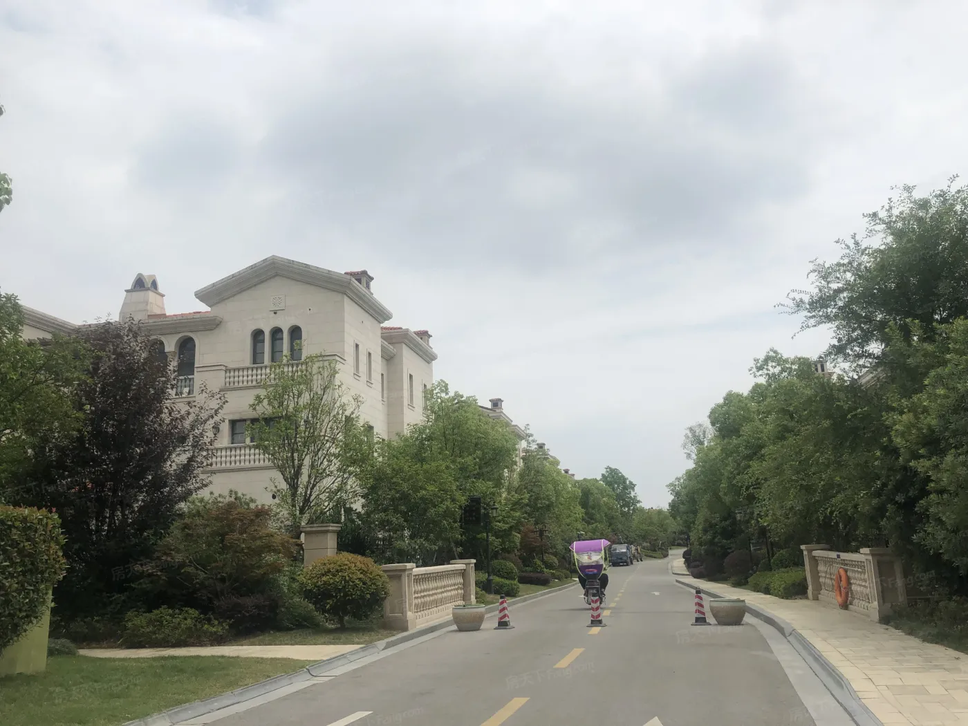 九龙仓国宾山实景图